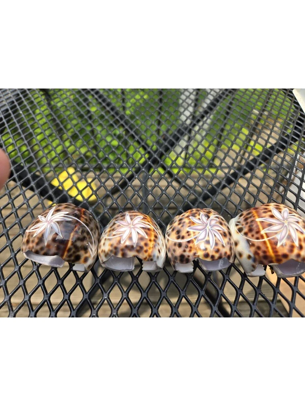 4 Vintage Cowrie Shell Napkin Rings Carved Flower Spotted Tiki Tropical Beach